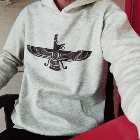 هودی مردانه کد 01 رنگ طوسی