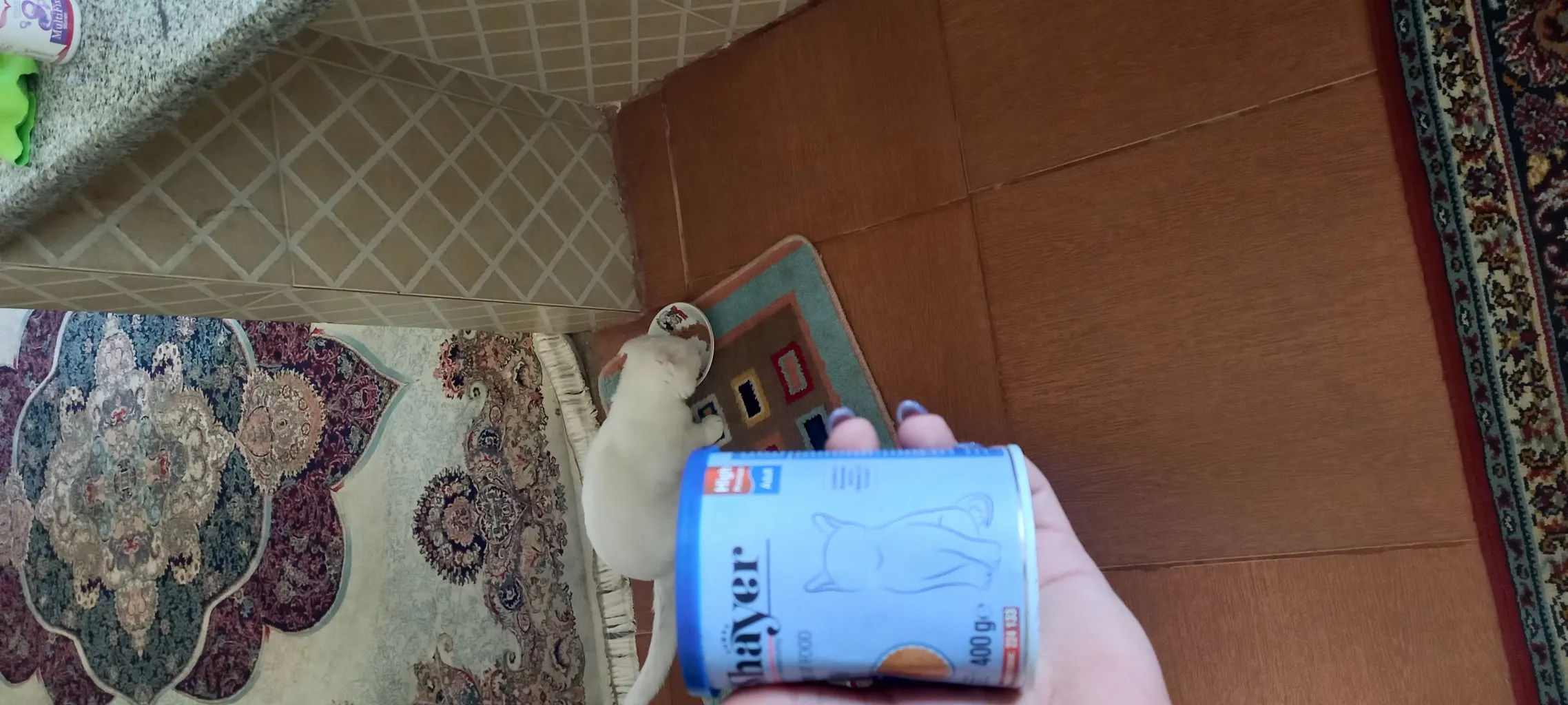 کنسرو گربه شایر مدل ماهی وزن 400 گرم