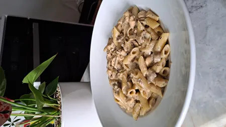 بشقاب غذاخوری چینی زرین ایران مدل ظرف پاستا ایتالیا 30 درجه عالی