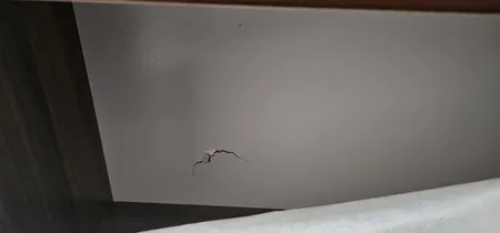 کتابخانه چهار طبقه مدل کتابخانه مدل IKE4404