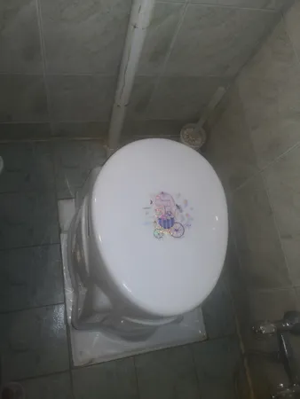 توالت فرنگی مدل صحرا