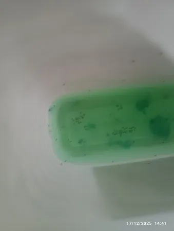 واکس لاستیک خودرو مدل LT1 حجم 4 لیتر