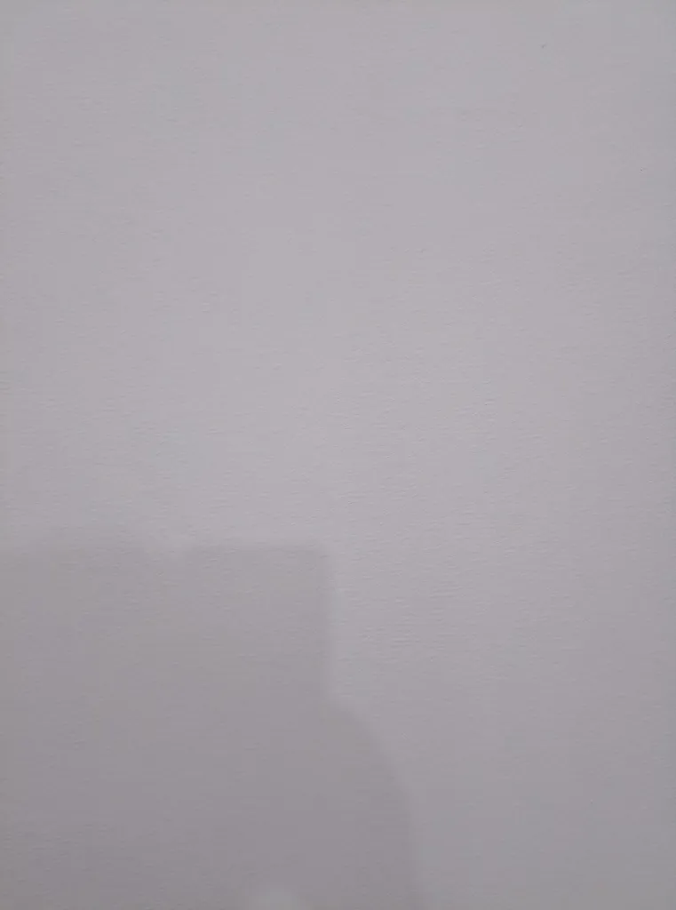 رنگ نیم پلاستیک سفید مات مرمرفام کد 202- وزن 4 کیلوگرم