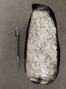 تجریه خرید جو دوسر پرک صبحانه صادراتی آنید - 600 گرم