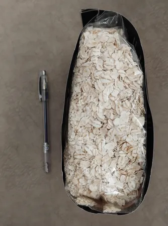 جو دوسر پرک صبحانه صادراتی آنید - 600 گرم