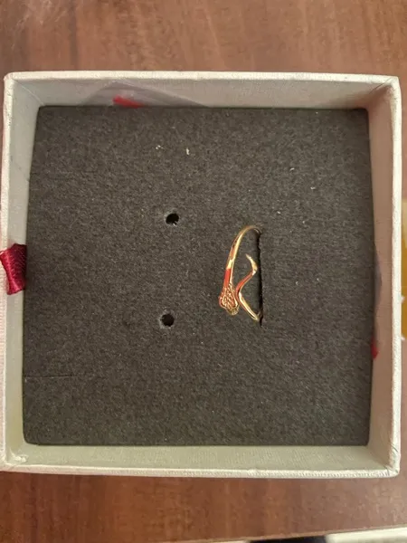 انگشتر طلا 18 عیار زنانه پرسته مدل مار افقی کد wr741 سایز 53