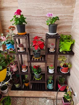 استند گلدان مدل Mtf5