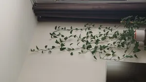 تجریه خرید گیره مدل پتوس کد n33 بسته 20 عددی