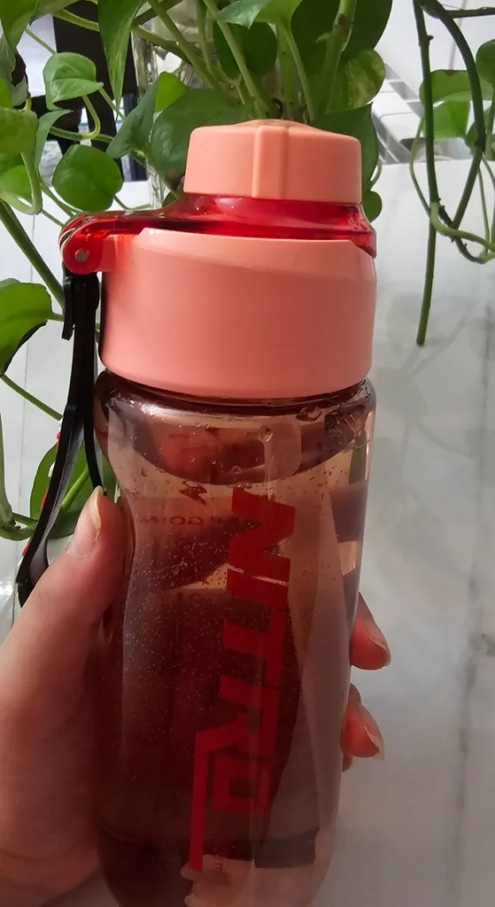 قمقمه مانیا کد 103810 گنجایش 0.620 لیتر