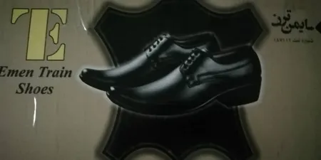 کفش چرمی ترن مدل لایتر بندی کد 2007