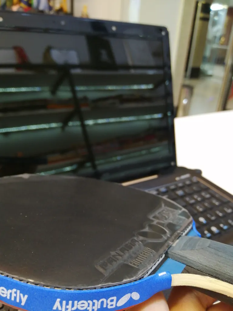 راکت پینگ پنگ باترفلای مدل Dimitrij Ovtcharov سری Platin