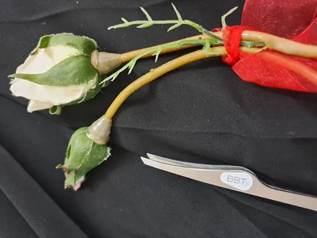 موچین ابرو بیول مدل BBT