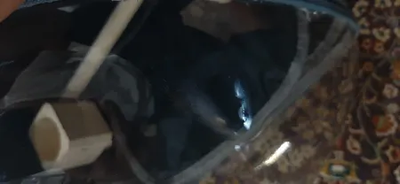 کوله پشتی حمل پرندگان مدل Z001