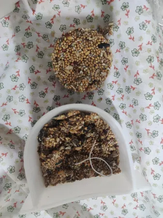 تشویقی پرنده هپی برد مدل استیک عسلی وزن 70 گرم