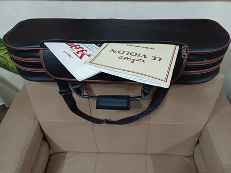 هاردکیس ویولن مدل MAGHSN