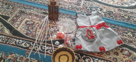 طعمه سوسک تارومار مدل T24 2 بسته 12 عددی