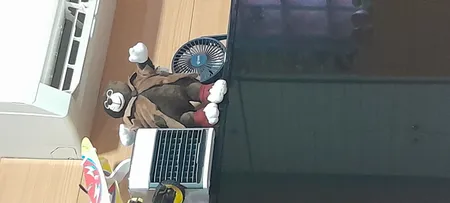 عروسک مدل گربه ارتفاع 25 سانتی متر