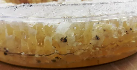 عسل خود بافت ممتاز -1000 گرم