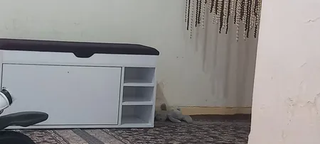 جاکفشی مدل BL0088