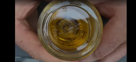 ادو تویلت مردانه آزارو مدل Wanted حجم 100 میلی لیتر