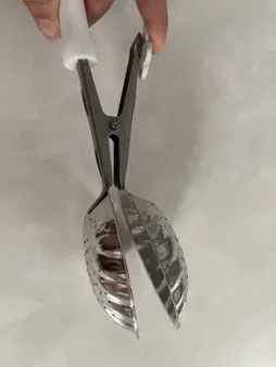 اسپند دودکن مدل صدف دریایی