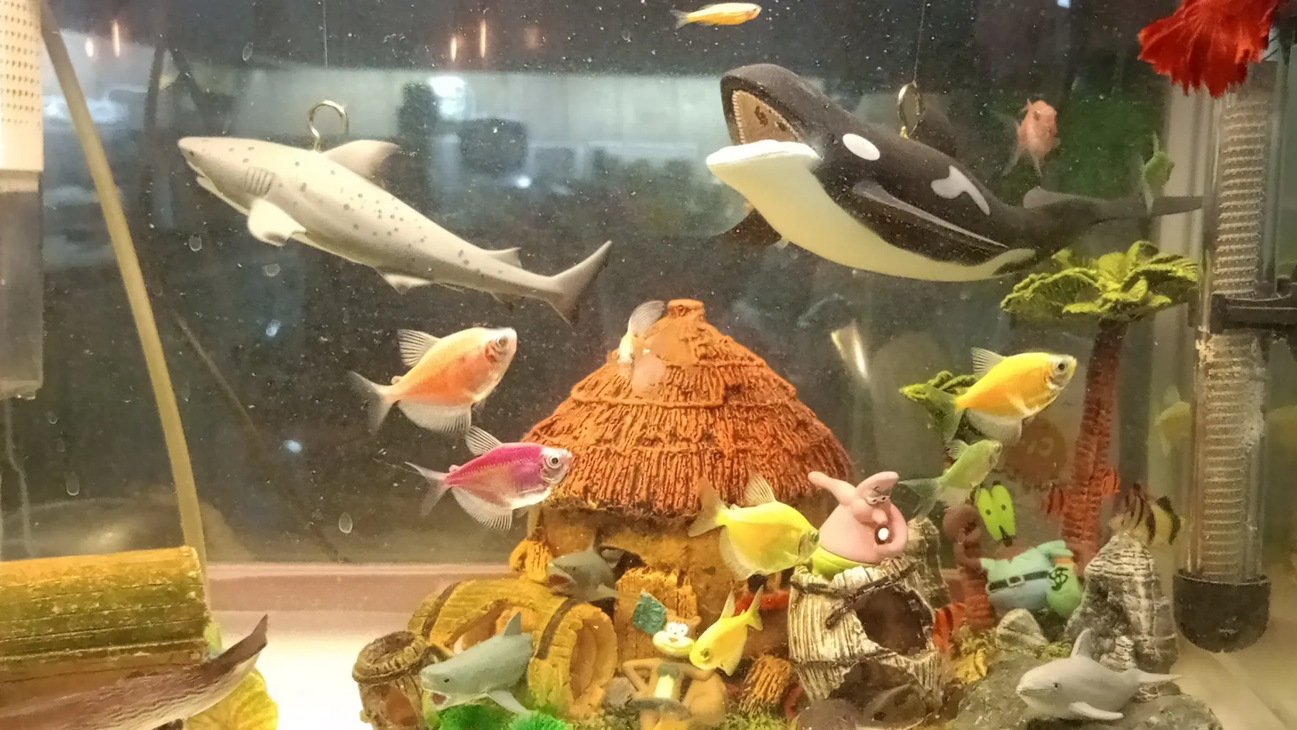 فیگور طرح حیوانات دریایی مدل نهنگ قاتل کد 09090