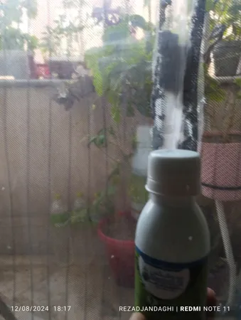 قارچ کش و باکتری کش گیاهان آپارتمانی بردوفیکس مدل bord حجم 100 میلی لیتر