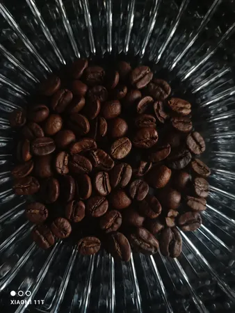 دانه قهوه بلک اند وایت قهوه ست - 250 گرم