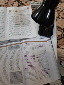 چراغ مطالعه صنایع کریم زاده مدل DL-105