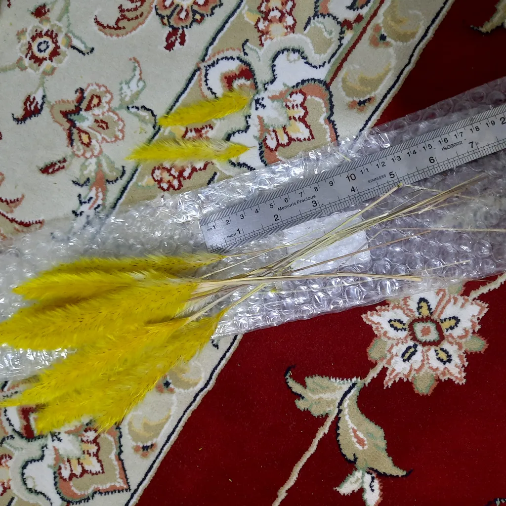 گل خشک مدل دم روباهی 10_4