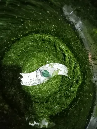 تیغه سبزی خردکن مدل سالوادر مناسب برای انواع سبزی خردکن