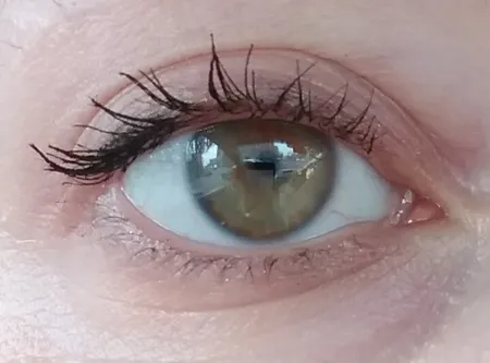 ریمل حالت دهنده INLAY مدل Exreme Length