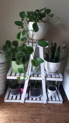 استند گلدان مدل YZ2