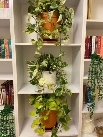 گلدان شهرآذین مدل 2500