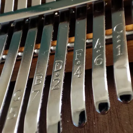 کالیمبا سگا مدل CKF03-C