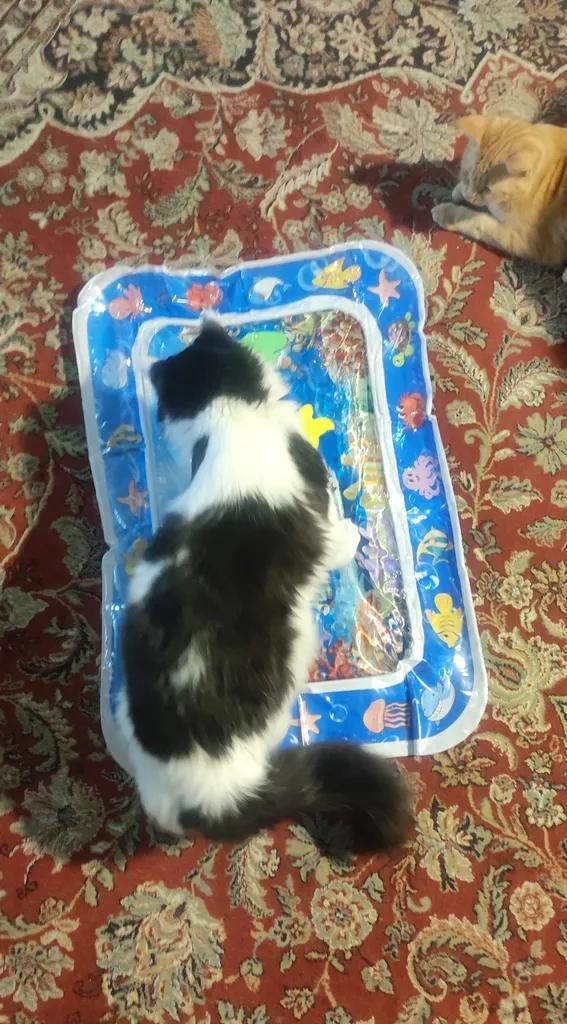 تشک بازی ناب سل مدل واتر مت طرح اقیانوس کد W03