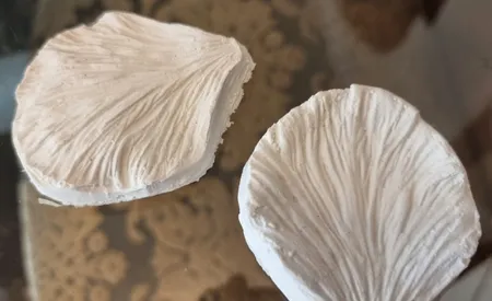 قالب فوندانت و کاتر شیرینی پزی به گز مدل گل پیونی مجموعه 6 عددی