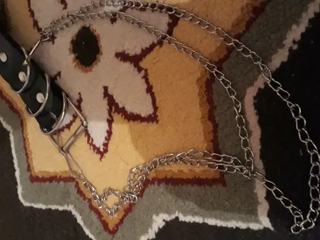 کمربند زنانه مدل h144