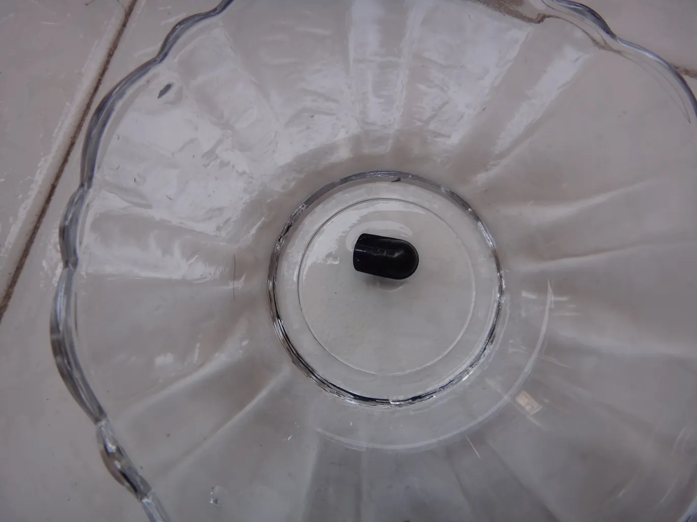 کپسول ویتامین ث با رزهیپ آلامو بسته 100 عددی