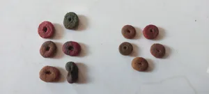 تجریه خرید غذای خشک گربه بالغ رفلکس مدل Multicolor New وزن 15 کیلوگرم