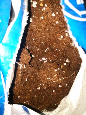 بستر آماده کشت بهکام کد BEH015 حجم 15 لیتر