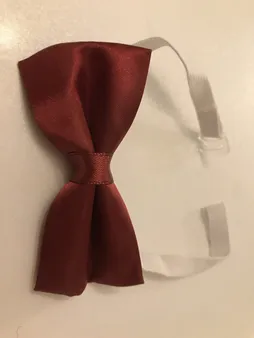 پاپیون پسرانه کد p2020