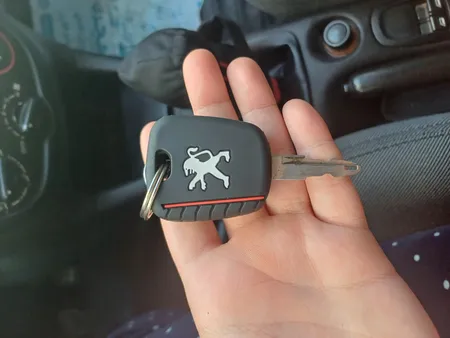 کاور ریموت مدل آج دار 206 مناسب برای پژو 206