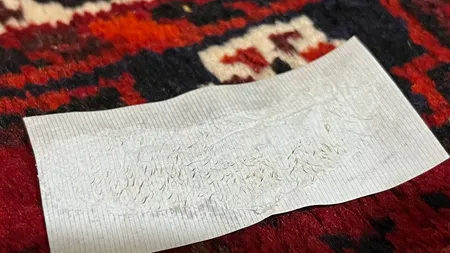 ماسک بینی لنبنا مدل سر سیاه مناسب انواع پوست وزن 30 گرم