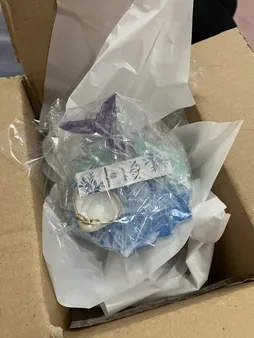 جاعودی رزینی طرح دریا