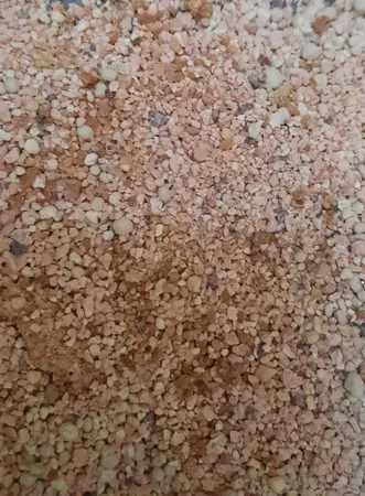 خاک بستر گربه تاینی کت مدل P1 وزن 10 کیلوگرم