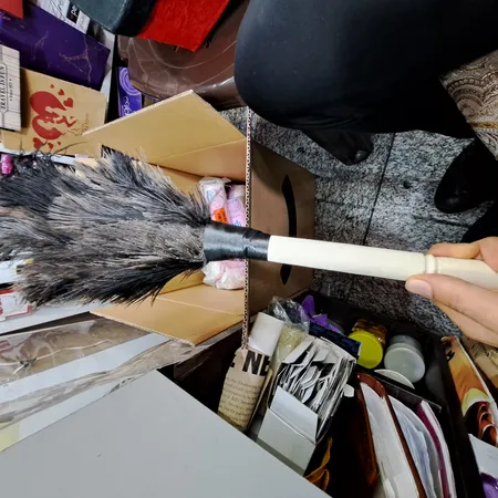 گردگیر مدل mini00