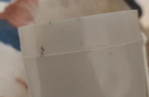 تجریه خرید جا مسواکی باران مدل Safe