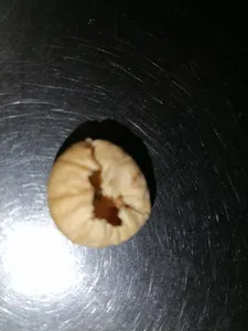 تجریه خرید انجیر خشک اکبر راستگو - 250 گرم