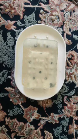 پن شستشو درمالیفت مدل Melafit وزن 100 گرم